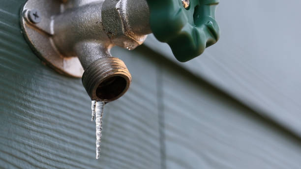 Best Sewer Line Repair  in Tenaha, TX